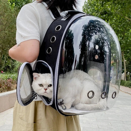 Mochila transparente para gatos y perros pequeños, transportador tipo cápsula espacial, transpirable y portátil